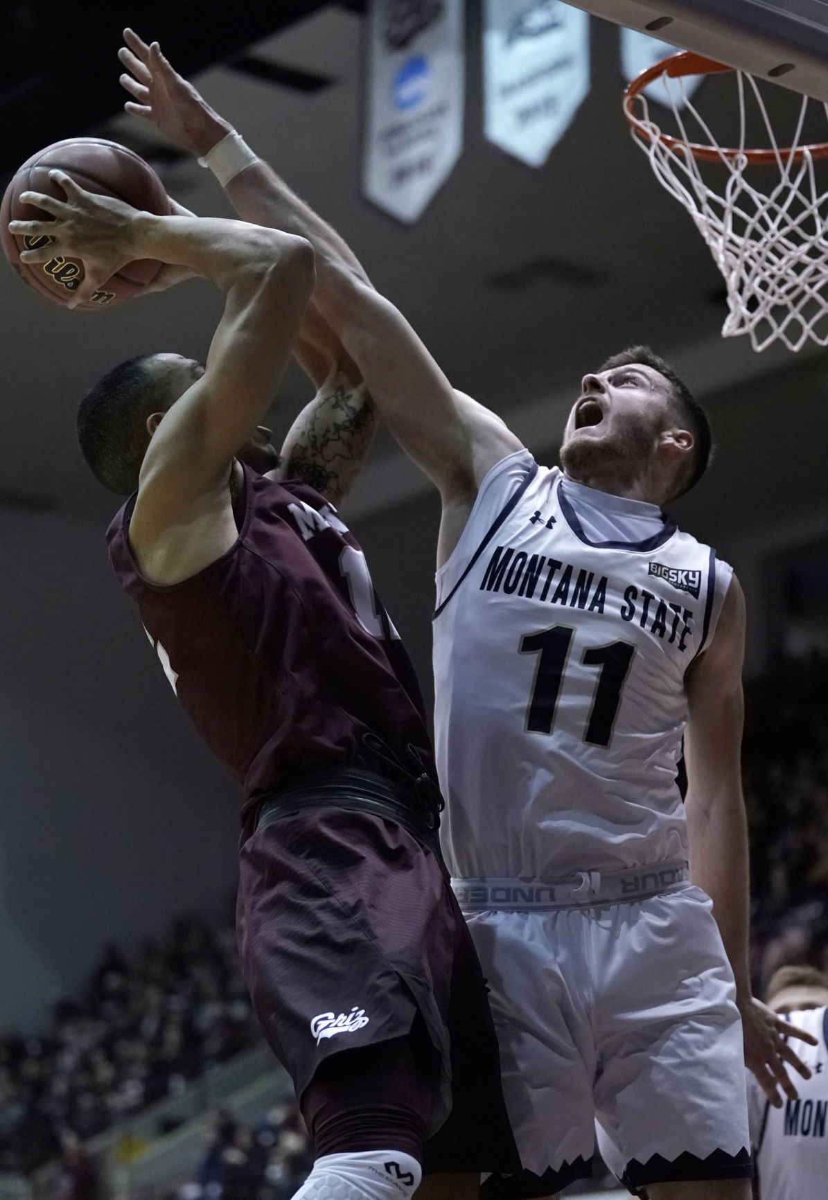 Griz v Cats-24-tm.JPG